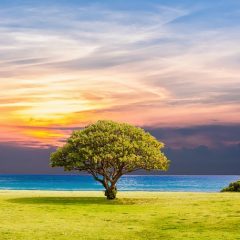 The Dangers of Distractions in the Life of a Christian