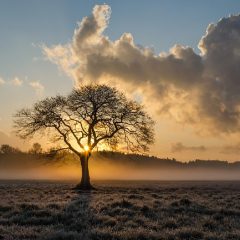 How to Overcome Worry